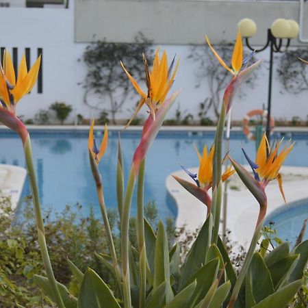 Apartamento Proximo Da Marina Vilamoura C/Piscina E Estacionamento المظهر الخارجي الصورة