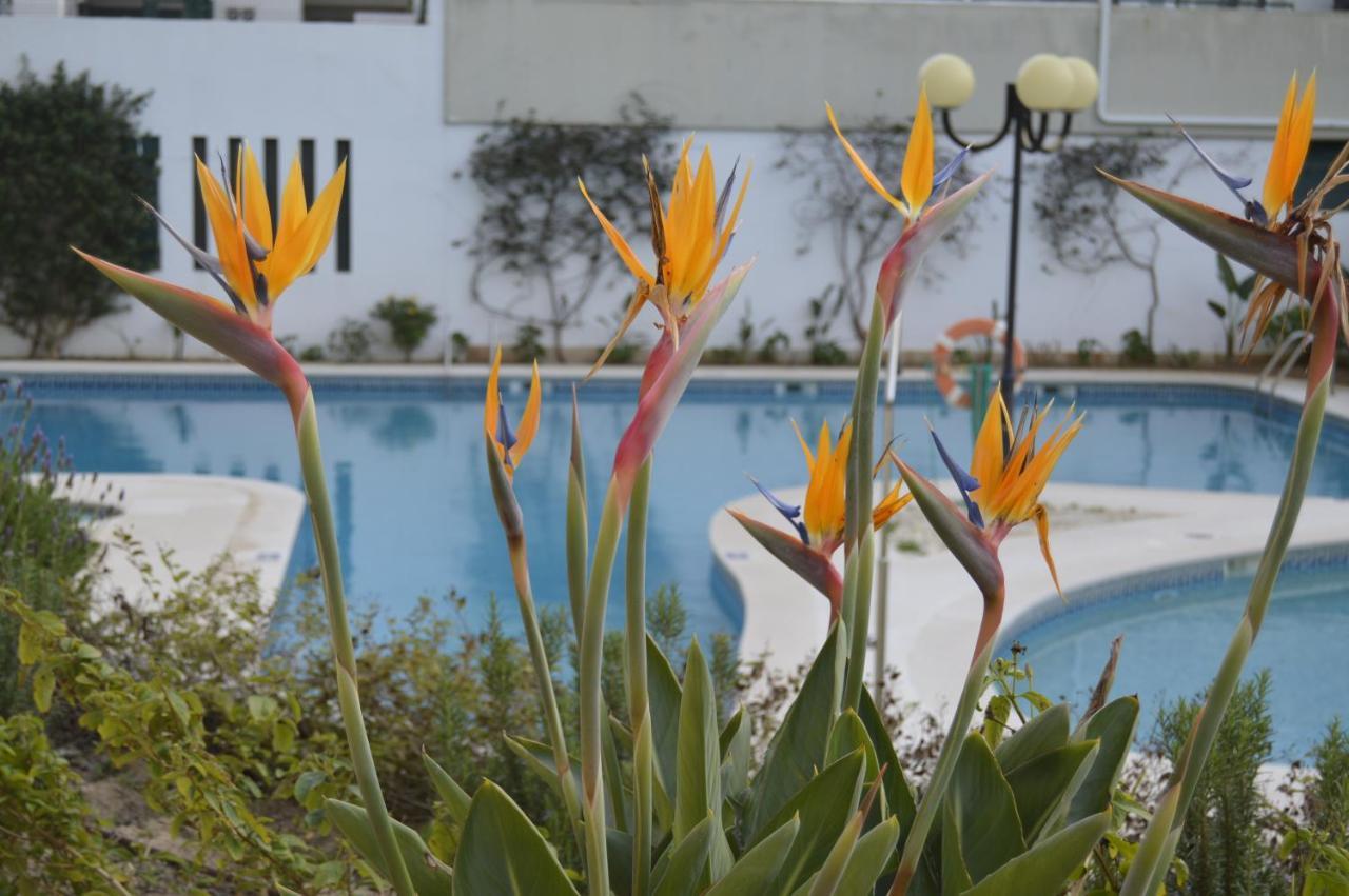 Apartamento Proximo Da Marina Vilamoura C/Piscina E Estacionamento المظهر الخارجي الصورة